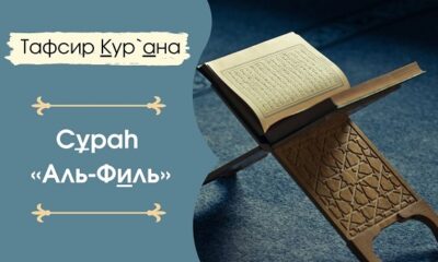 Сура Аль Филь, толкование и перевод